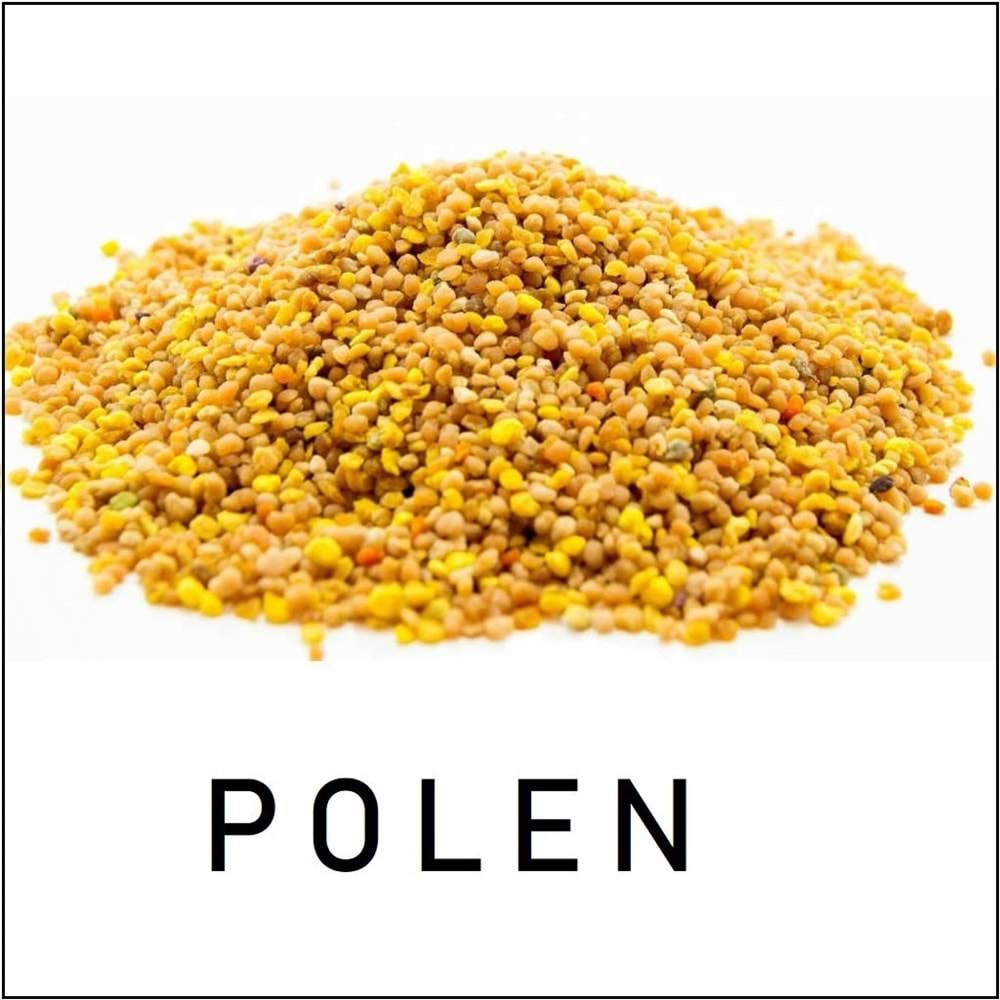 Polen Yerli (Kg)