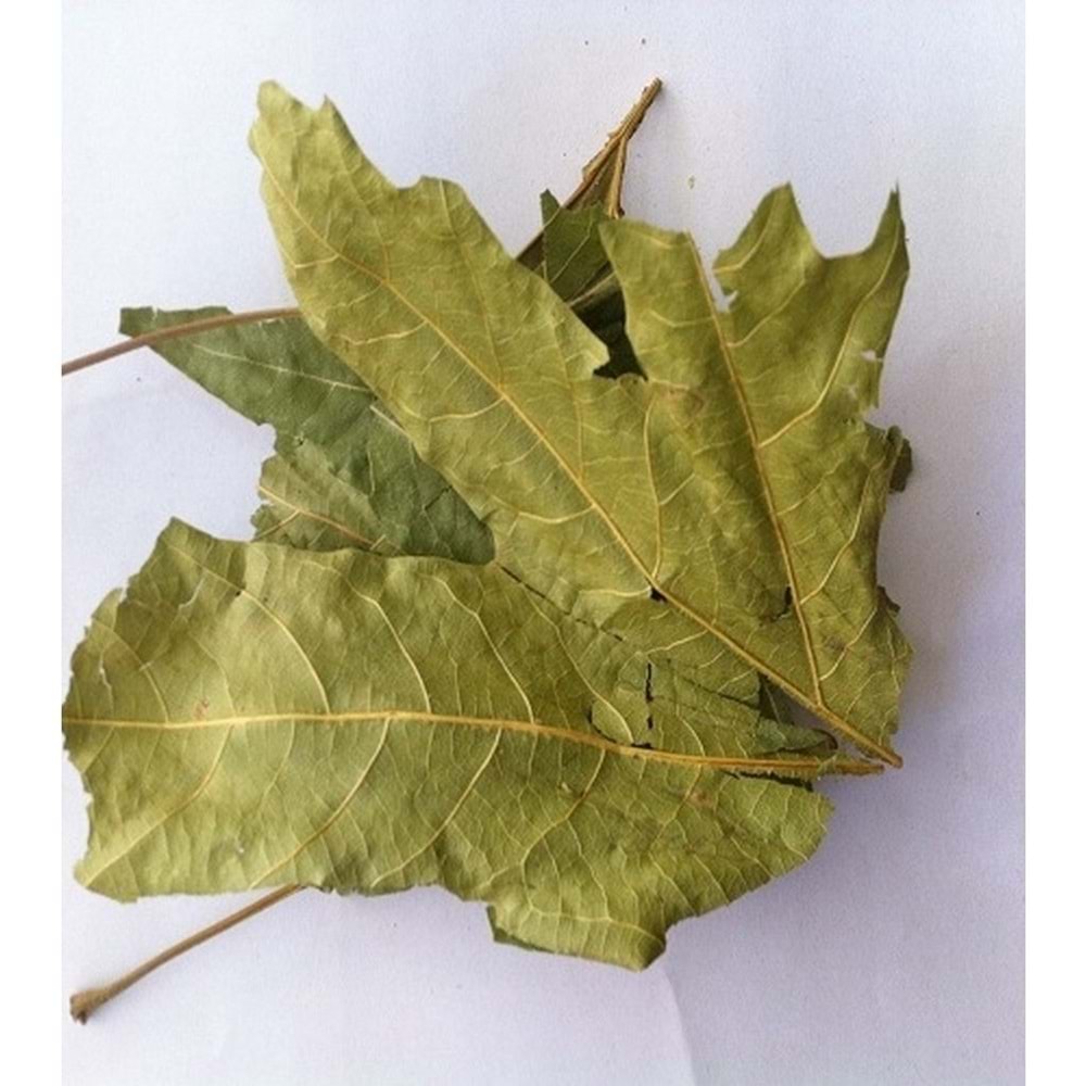 Çınar Yaprağı 50 Gr
